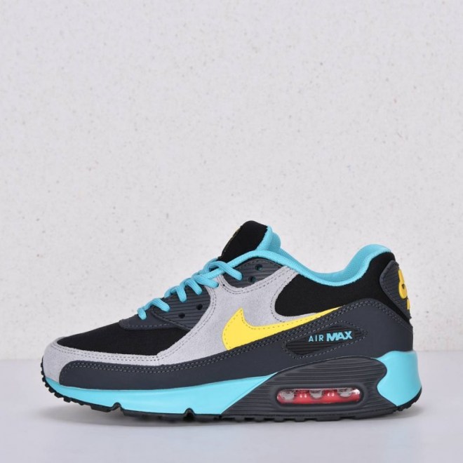 krossovki-nike-air-max-90-art-3877-1-800x800